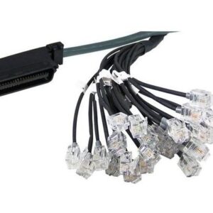 Yeastar RJ21 Cable 2 MT